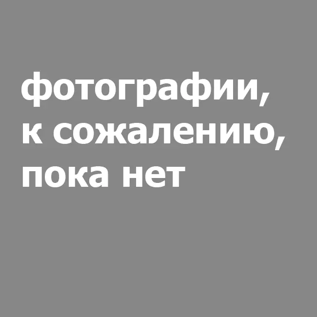 пластиковый багет 2516-352